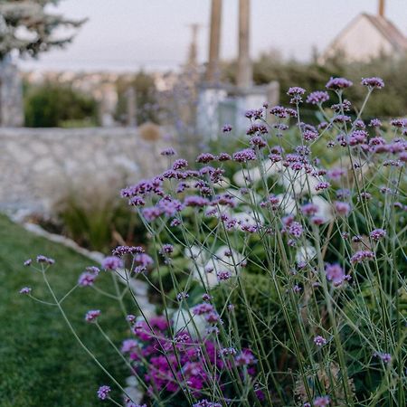 Panorama Vine House Apartman Balatonfüred Kültér fotó