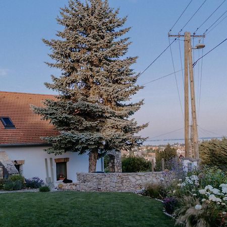 Panorama Vine House Apartman Balatonfüred Kültér fotó